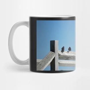 Rottnest Swallows Mug